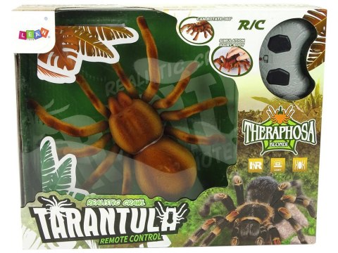 Pająk GIGANT zdalnie sterowany TARANTULA z pilotem Pająk GIGANT zdalnie sterowany TARANTULA z pilotem