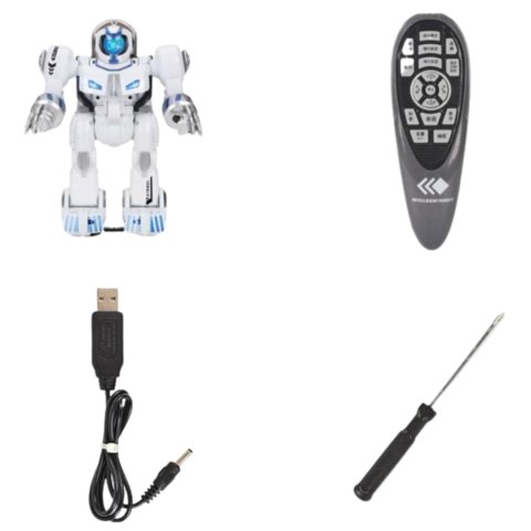 ROBOT INTERAKTYWNY ZDALNIE STEROWANY TAŃCZY MUZYKA PILOT PROGRAMOWALNY ROBOT INTERAKTYWNY ZDALNIE STEROWANY TAŃCZY MUZYKA PILOT PROGRAMOWALNY