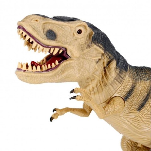 DINOZAUR ZDALNIE STEROWANY ŚWIECĄCE OCZY DŻWIĘK ŚWIATŁO CHODZI RYCZY DUŻY DINOZAUR ZDALNIE STEROWANY ŚWIECĄCE OCZY DŻWIĘK ŚWIATŁO CHODZI RYCZY DUŻY