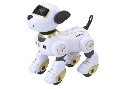 Robot Pies Interaktywny Zdalnie Sterowany Tańczy Wykonuje Polecenia Złoty Robot Pies Interaktywny Zdalnie Sterowany Tańczy Wykonuje Polecenia Złoty