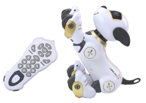 Robot Pies Interaktywny Zdalnie Sterowany Tańczy Wykonuje Polecenia Złoty Robot Pies Interaktywny Zdalnie Sterowany Tańczy Wykonuje Polecenia Złoty