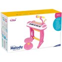 Elektroniczne Organki Pianino Keyboard Mikrofon Stołek Dźwięki I Światełka