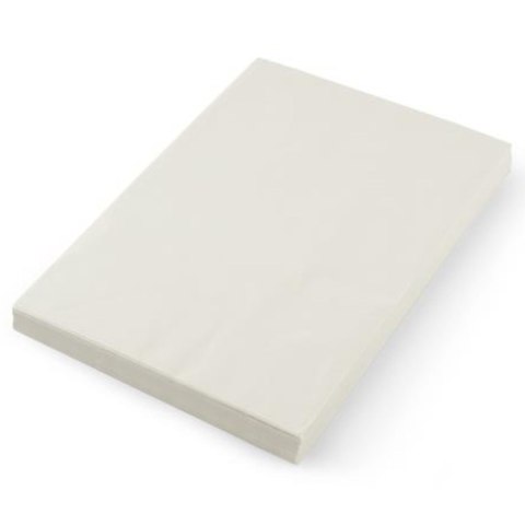 Papier pergaminowy do przekąsek frytek biały 500 szt. 258x425 mm - Hendi 678213 Papier pergaminowy do przekąsek frytek biały 500 szt. 258x425 mm - Hendi 678213