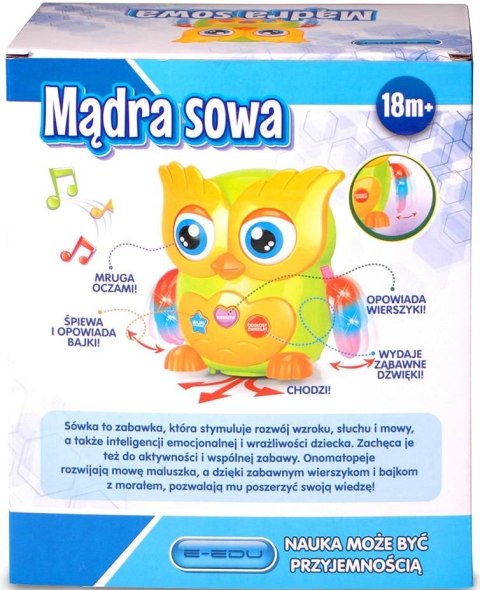EDUKACYJNA MĄDRA SOWA ŚPIEWA OPOWIADA BAJKI POLSKI EDUKACYJNA MĄDRA SOWA ŚPIEWA OPOWIADA BAJKI POLSKI