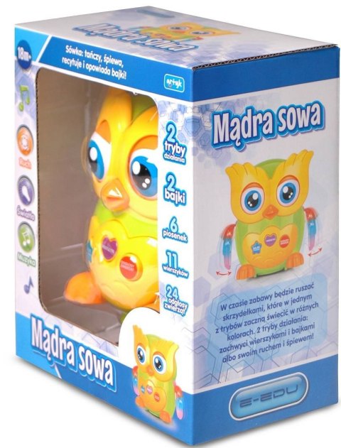 EDUKACYJNA MĄDRA SOWA ŚPIEWA OPOWIADA BAJKI POLSKI EDUKACYJNA MĄDRA SOWA ŚPIEWA OPOWIADA BAJKI POLSKI