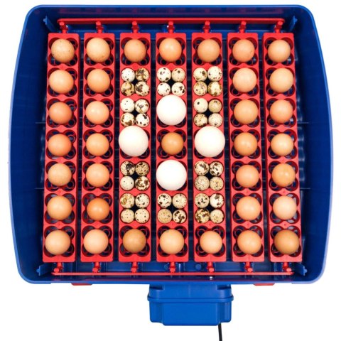 Inkubator wylęgarka do 49 jaj automatyczna z systemem nawilżania BIOMASTER 150 W Inkubator wylęgarka do 49 jaj automatyczna z systemem nawilżania BIOMASTER 150 W