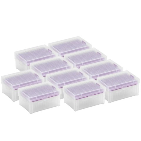 Końcówki do pipet 200 ul bez DNazy/RNazy - zestaw 10 x 96 szt. Końcówki do pipet 200 ul bez DNazy/RNazy - zestaw 10 x 96 szt.