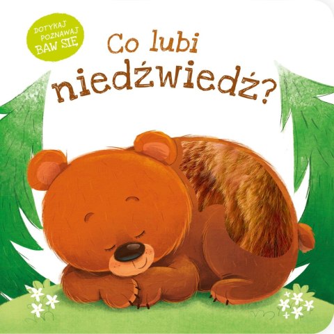 Co lubi niedźwiedź? Co lubi niedźwiedź?