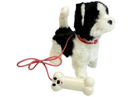 Pies Husky Na Smyczy Sterowany Pilot Kość Biało- Czarny Pies Husky Na Smyczy Sterowany Pilot Kość Biało- Czarny