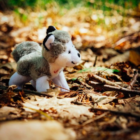 TRUDI HUSKY (S). TRUDI HUSKY (S).