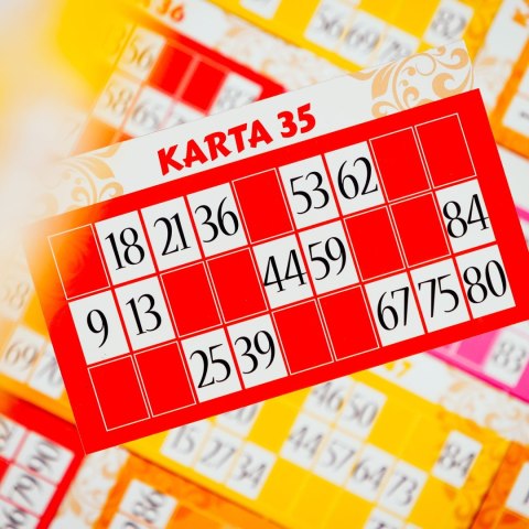 LISCIANI LUDOTECA BINGO LISCIANI LUDOTECA BINGO