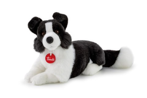 TRUDI BORDER COLIE (M) TRUDI BORDER COLIE (M)