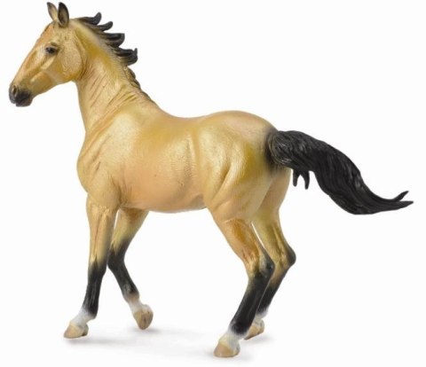 COLLECTA KLACZ AKHAL TEKE BUCKSKIN COLLECTA KLACZ AKHAL TEKE BUCKSKIN