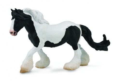 COLLECTA KLACZ CYGAŃSKA ŁACIATA COLLECTA KLACZ CYGAŃSKA ŁACIATA