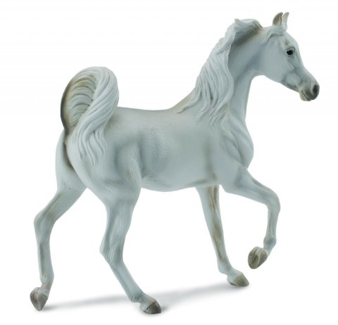 COLLECTA KLACZ RASY ARABSKIEJ MAŚCI SZAREJ COLLECTA KLACZ RASY ARABSKIEJ MAŚCI SZAREJ