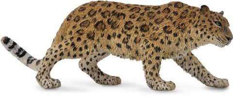 COLLECTA LAMPART AMURSKI COLLECTA LAMPART AMURSKI