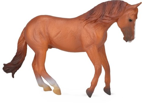COLLECTA OGIER AUSTRALIAN STOCK COLLECTA OGIER AUSTRALIAN STOCK