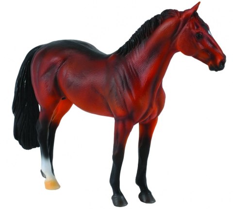 COLLECTA OGIER HANOWERSKI GNIADY COLLECTA OGIER HANOWERSKI GNIADY