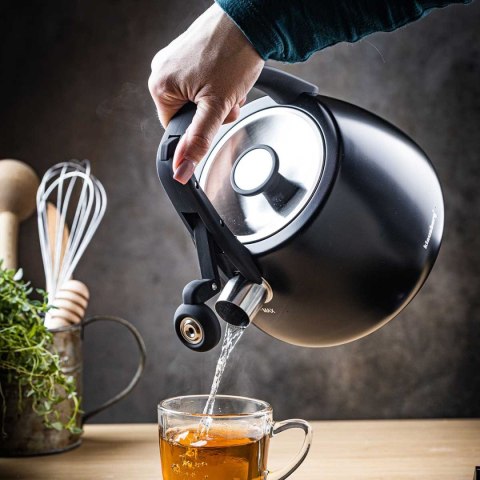 CZAJNIK STALOWY Z GWIZDKIEM 2,5L KLAUSBERG KB-7774 CZAJNIK STALOWY Z GWIZDKIEM 2,5L KLAUSBERG KB-7774