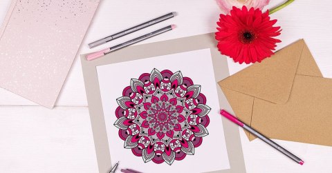 Cienkopis triplus trójkątny 0.3 mm 10 kol. w etui box Staedtler Cienkopis triplus trójkątny 0.3 mm 10 kol. w etui box Staedtler