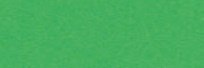 Karton kolorowy 170g A2 25 ark zielony
