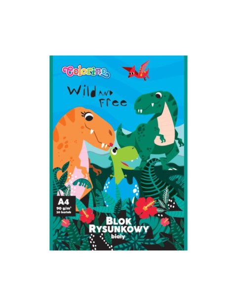 Colorino wyprawka szkolna premium + TECZKA GRATIS Colorino wyprawka szkolna premium + TECZKA GRATIS