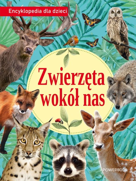 Zwierzęta wokół nas. Encyklopedia dla dzieci Zwierzęta wokół nas. Encyklopedia dla dzieci
