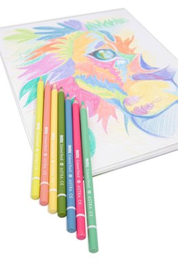 Kredki pastelowe okrągłe ASTRA PASTEL LINE grafit XXL 4 mm - 50 kolorów