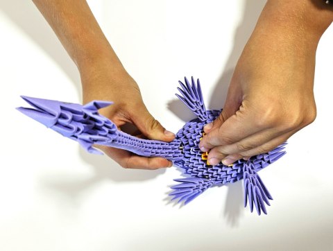 ORIGAMI 3D - Plezjozaur / Plesiosaur ORIGAMI 3D - Plezjozaur / Plesiosaur