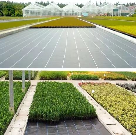 Agrotkanina czarna 160 cm x50m UV 90g antychwastowa agrowłóknina + kotwy Agrotkanina czarna 160 cm x50m UV 90g antychwastowa agrowłóknina + kotwy