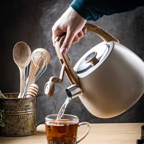 CZAJNIK STALOWY Z GWIZDKIEM 2,5L KLAUSBERG KB-7775 CZAJNIK STALOWY Z GWIZDKIEM 2,5L KLAUSBERG KB-7775
