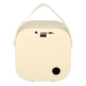 Zestaw do karaoke głośnik Bluetooth 2 mikrofony USB LED 10W kremowy