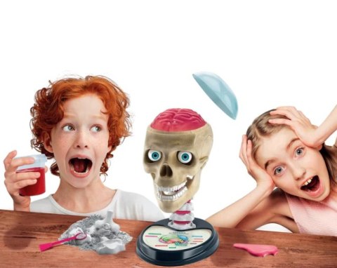 Naukowa Zabawa Zestaw Zwariowana Anatomia Język Polski Clementoni 50697 Naukowa Zabawa Zestaw Zwariowana Anatomia Język Polski Clementoni 50697
