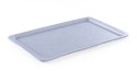 TACA POLIESTROWA GŁADKA 530X325MM GN 1/1 - HENDI 876619