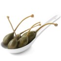 ŁYŻECZKA DO SOSÓW I DIPÓW TAPAS MINI BIAŁA PORCELANA ZESTAW 6SZT. - HENDI 785324