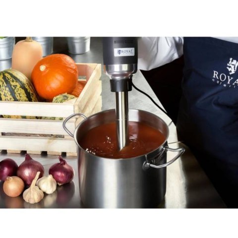MOCNY MIKSER BLENDER ROBOT RĘCZNY DŁ. 400 MM 500 W 230 V ROYAL CATERING MOCNY MIKSER BLENDER ROBOT RĘCZNY DŁ. 400 MM 500 W 230 V ROYAL CATERING