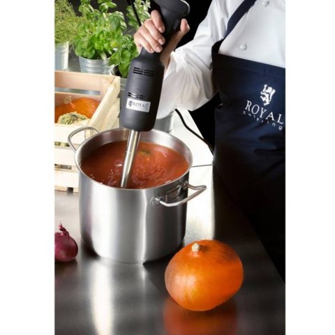 MOCNY MIKSER BLENDER ROBOT RĘCZNY DŁ. RAMIENIA 400MM 350W 230V ROYAL CATERING MOCNY MIKSER BLENDER ROBOT RĘCZNY DŁ. RAMIENIA 400MM 350W 230V ROYAL CATERING