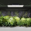 LAMPA DO UPRAWY WZROSTU ROŚLIN PEŁNE SPEKTRUM 30 X 24 CM 234 LED 110 W SREBRNA