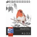 BLOK ARTYSTYCZNY RYSUNKOWY A3/30K 160G. NA SPIRALI OXFORD 400166173