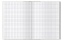 BRULION A4 96K KRATKA Z MARGINESEM ESSE 400174964 OXFORD