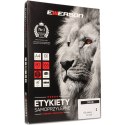 ETYKIETY A4 BIAŁE (100ARK) 210X148MM NR.030 EMERSON ETA4210X148