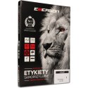 ETYKIETY A4 BIAŁE (100ARK) 210X297MM NR.027 EMERSON ETA4210X297P