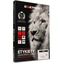ETYKIETY A4 BIAŁE (100ARK) 63X38MM NR037 EMERSON ETA4063X038