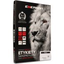 ETYKIETY A4 BIAŁE (100ARK) 70X42.3MM NR017 EMERSON ETA4070X423