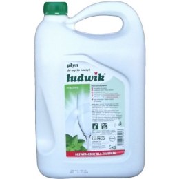 PŁYN DO NACZYŃ LUDWIK 5L MIĘTOWY