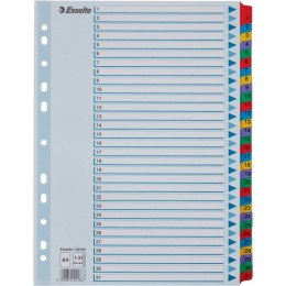 PRZEKŁADKI KARTONOWE MYLAR A4 1-31 BIAŁE 100164 ESSELTE
