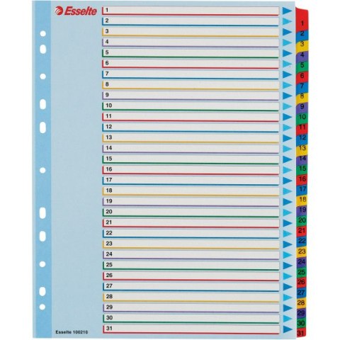 PRZEKŁADKI KARTONOWE MYLAR A4 MAXI 1-31 ESSELTE 100210 PRZEKŁADKI KARTONOWE MYLAR A4 MAXI 1-31 ESSELTE 100210