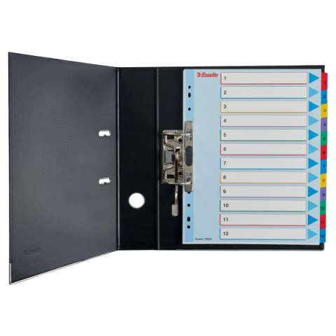 PRZEKŁADKI KARTONOWE MYLAR A4 MAXI 1-31 ESSELTE 100210 PRZEKŁADKI KARTONOWE MYLAR A4 MAXI 1-31 ESSELTE 100210