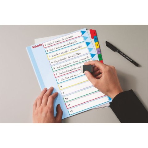PRZEKŁADKI KARTONOWE MYLAR A4 MAXI 1-31 ESSELTE 100210 PRZEKŁADKI KARTONOWE MYLAR A4 MAXI 1-31 ESSELTE 100210