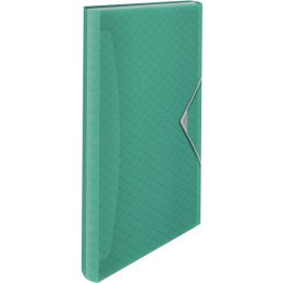 TECZKA Z PRZEGRÓDKAMI ZIELONA ESSELTE COLOUR
